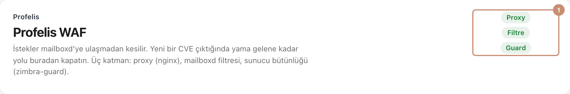 Profelis WAF: üç katman rozeti