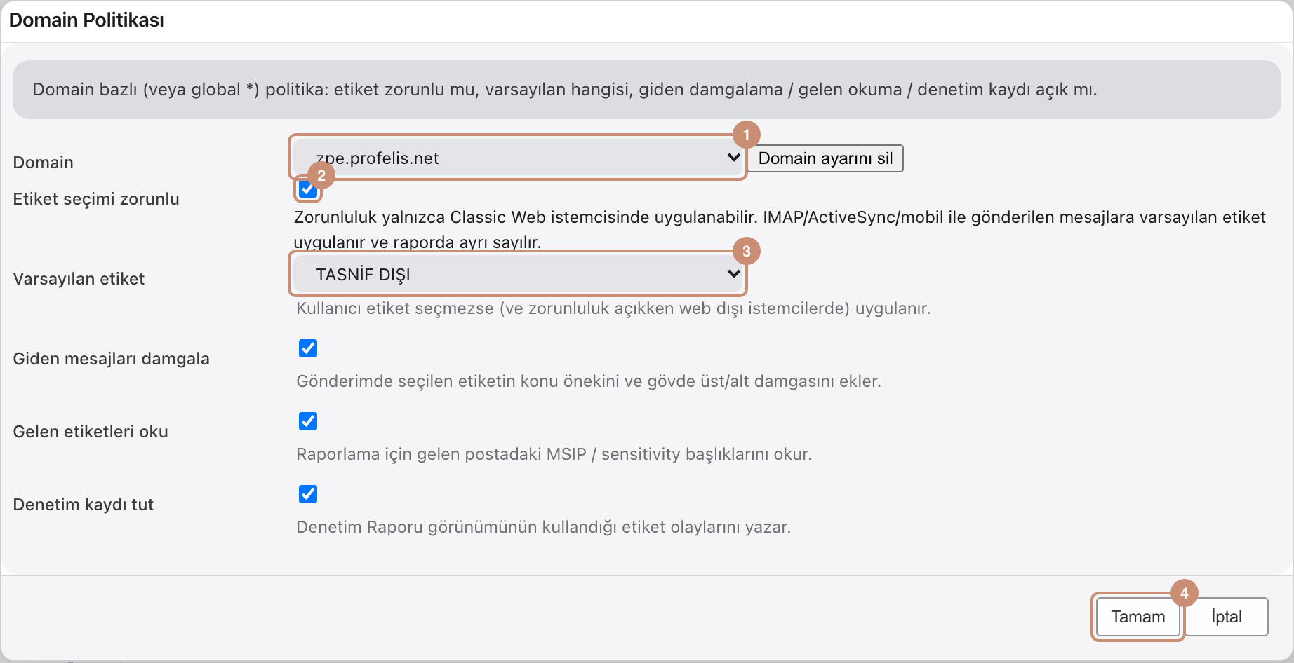 Domain Politikası: zorunlu etiket